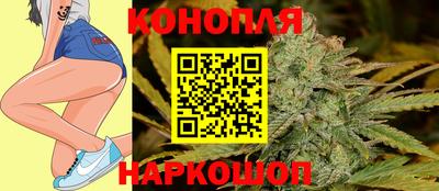 сатива Гулькевичи