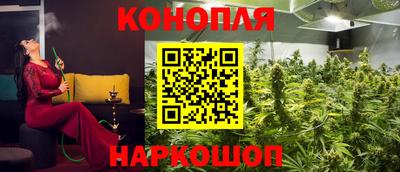 сатива Гулькевичи