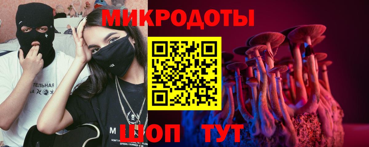 Галлюциногенные грибы Psilocybe Советск