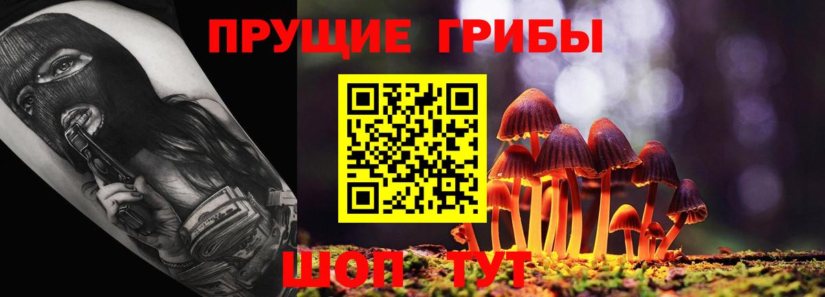Галлюциногенные грибы Magic Shrooms  Псилоцибиновые грибы Psilocybine cubensis  Вход с VPN  Советск 